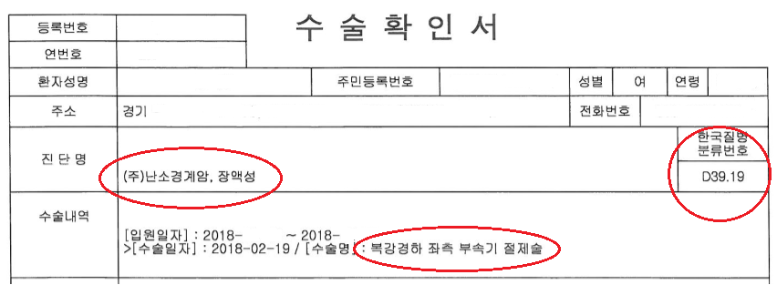 난소1.png