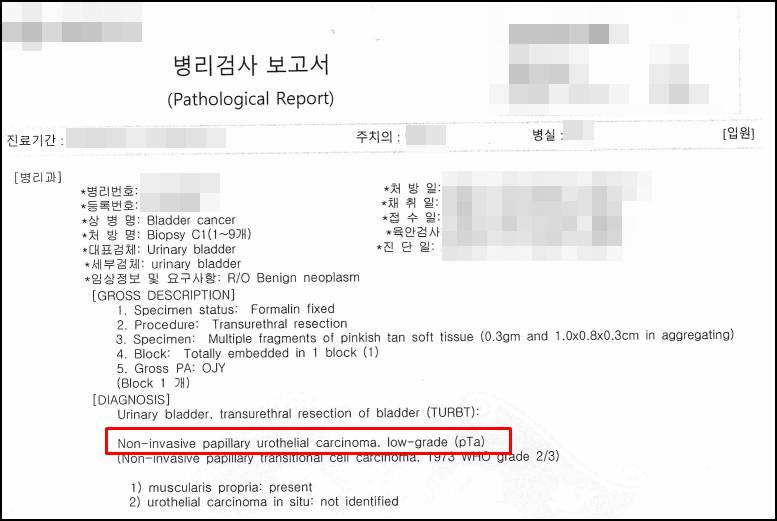 조직검사결과지.jpg