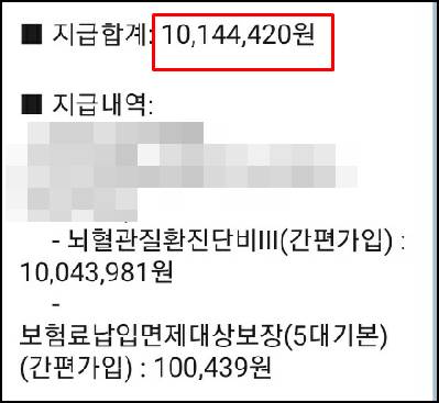 지급내역 - 복사본.jpg