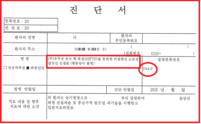 진단서.png