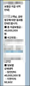 점막내암 지급내역.jpg